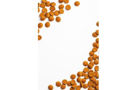 Dutch holiday Sinterklaas background