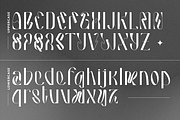 Hausser Modern Display, a Font by Creatype Studio (Thumbnail 6 of 11)