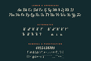Quinka - Casual Script Font, a Script Font by Pixesia Studio (Thumbnail 10 of 11)