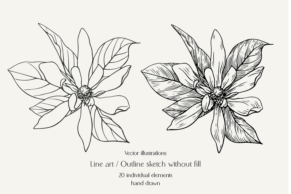 Flowers Ylang Ylang. Botanical set, an Object Graphic by ON_lineart_store (Photo 2 of 8)