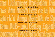 Festivus | Retro Holiday Type!, a Script Font by StudioWorks (Thumbnail 7 of 8)