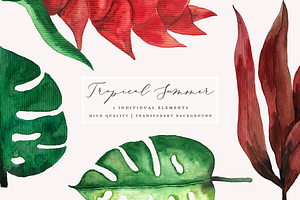 Tropical Summer - Watercolor Plants