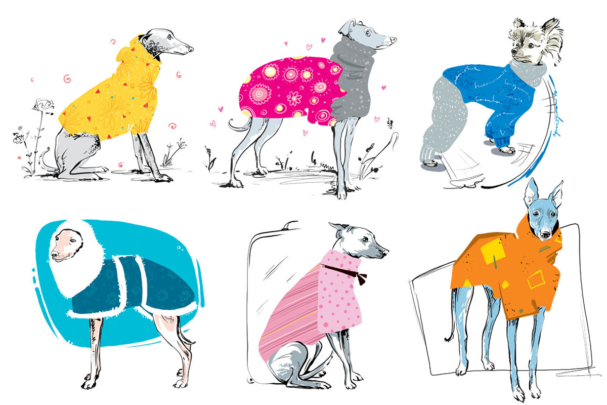 Big DOG Bundle - 12 collections, an Illustration by Zooza Art (Photo 9 of 31)