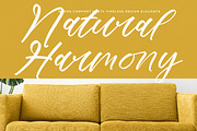 Mindful Angelic Modern Elegant Font, a Script Font by stylishtype.co (Thumbnail 10 of 19)
