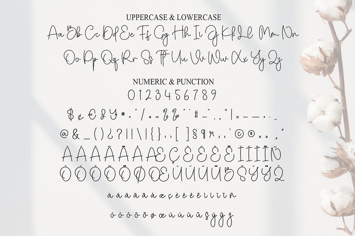Nothing | Script Font, a Handwritten Font by Scratchones (Photo 7 of 9)