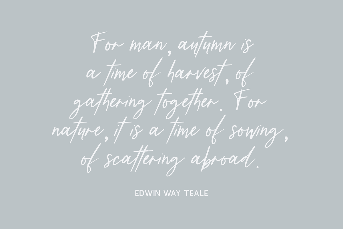 Distillery Script, a Script Font by Beck McCormick (Photo 2 of 11)