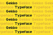 Gekko Creative Font, a Sans Serif Font by Artiveko (Thumbnail 3 of 4)