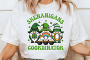 St Patricks Shenanigans Coordinator, an Illustration by designcity5 (Thumbnail 4 of 9)