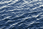 Animated Blue Ocean Waves 3D Model, an Object 3D Model by rebrandy (Thumbnail 4 of 7)