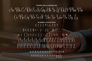 Writing Signature | Script Font, a Handwritten Font by Scratchones (Thumbnail 7 of 9)