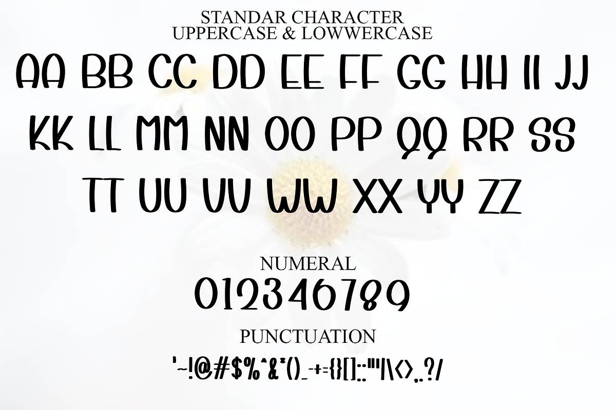 Sunday Bright, a Script Font by InermediaSTUDIO (Photo 7 of 8)