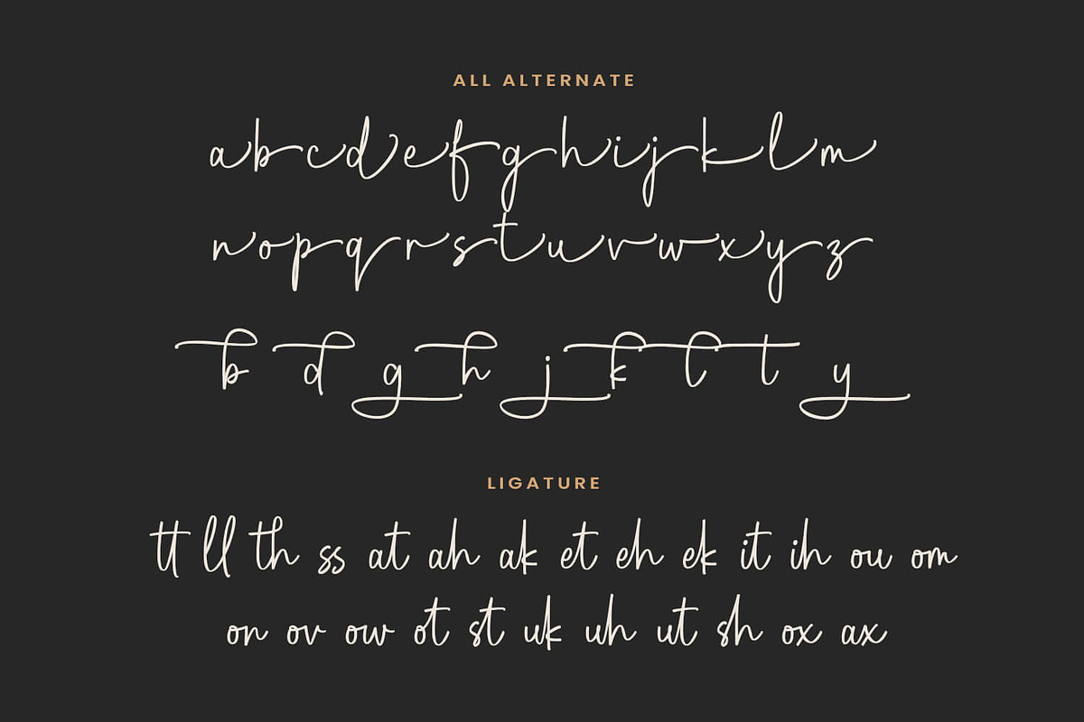 Dellanie Signature - Business Font, a Script Font by Pixesia Studio (Photo 14 of 15)