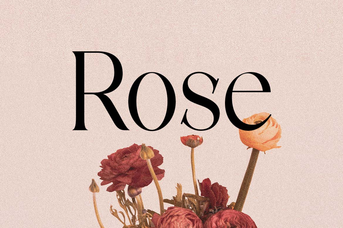 Discographica Classic Serif Font, a Serif Font by UICreative (Photo 12 of 13)
