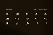 Thank Elegant Serif Font, a Serif Font by Perfectype (Thumbnail 8 of 8)