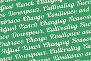 Adjust Ranch Retro Script Logo, a Script Font by timelesstype.co (Thumbnail 12 of 20)