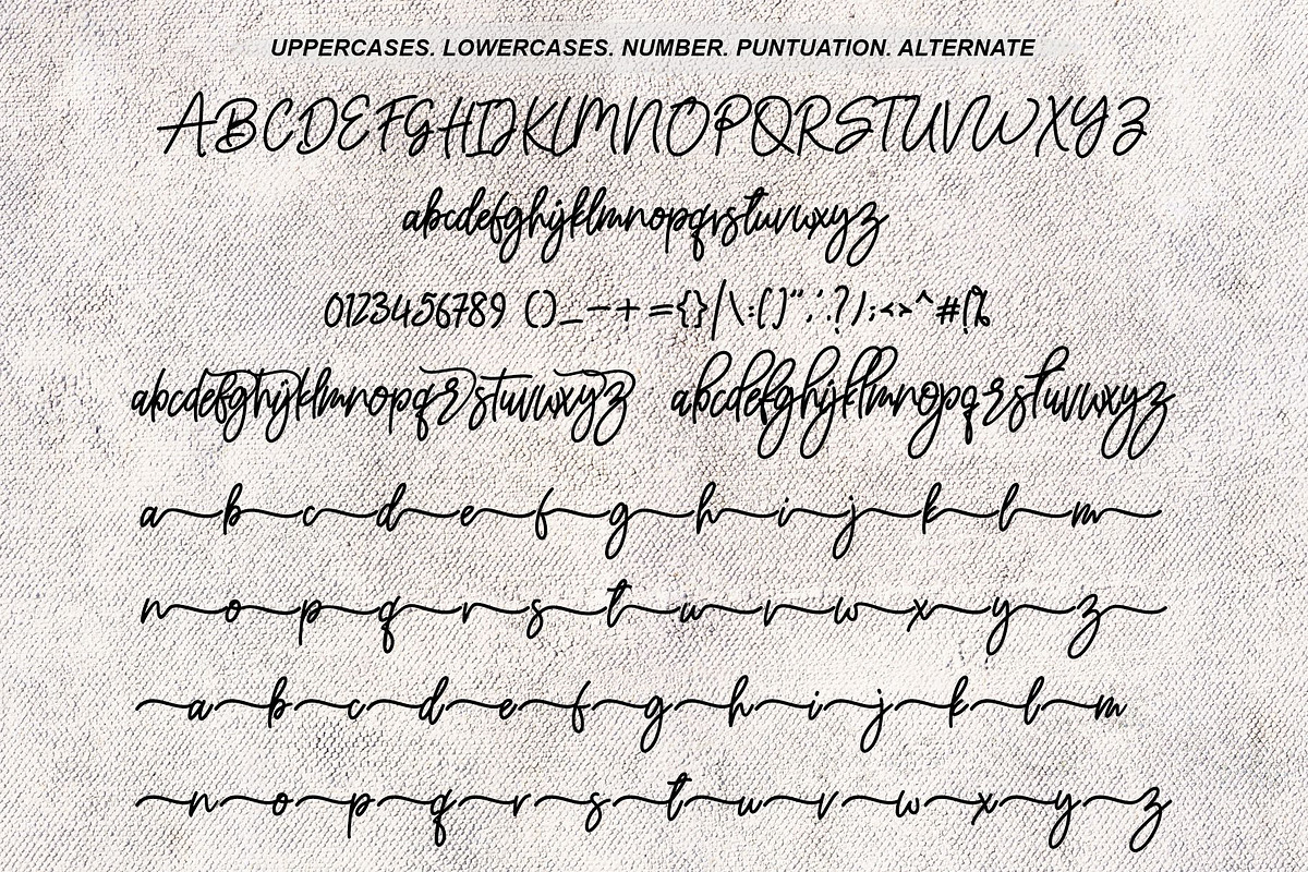 Ameliany Signature, a Script Font by Nowlystudios (Photo 7 of 8)