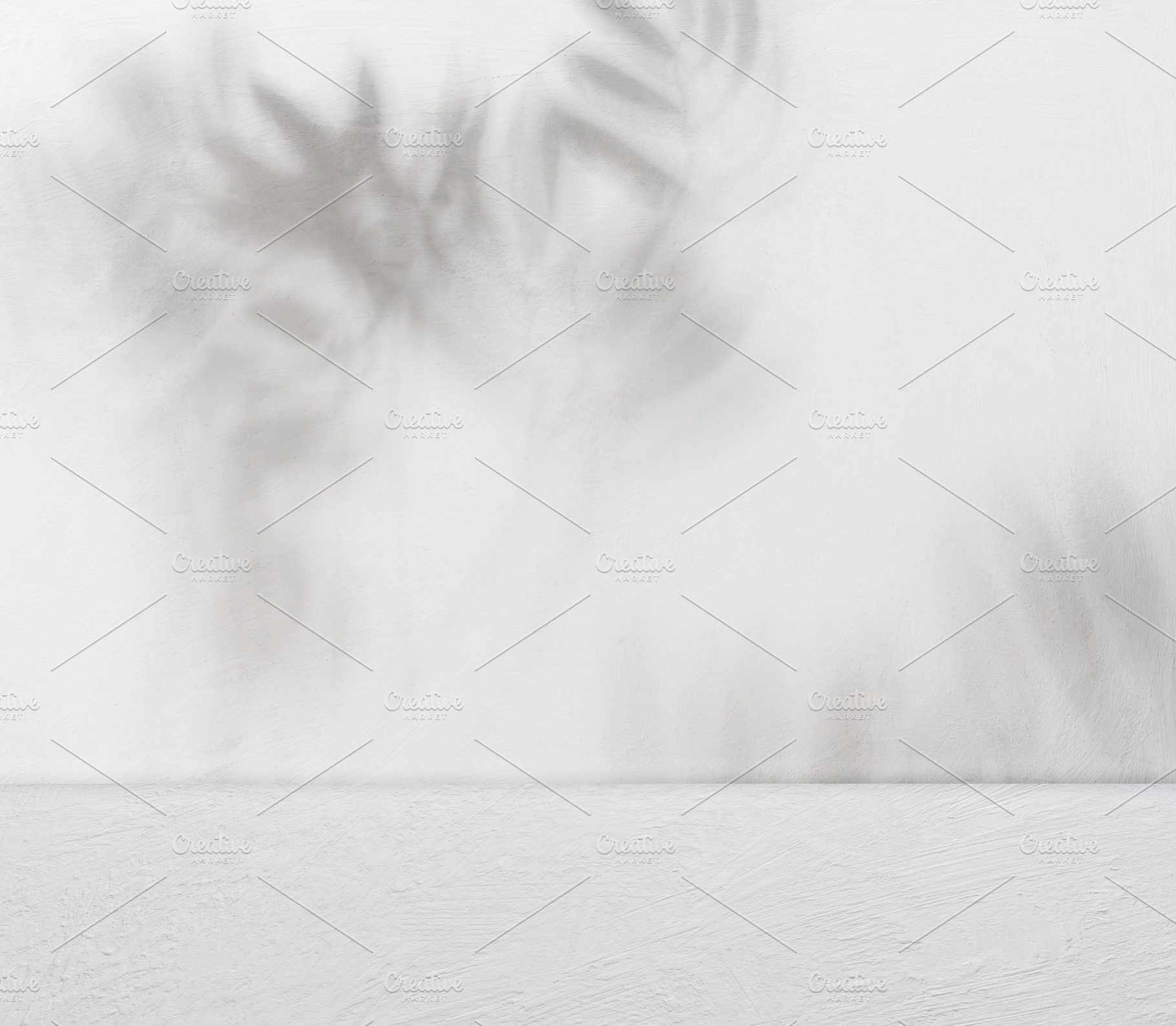 Light concrete wall and floor with shadows from plant leaves cre, a Background Photo by ndanko