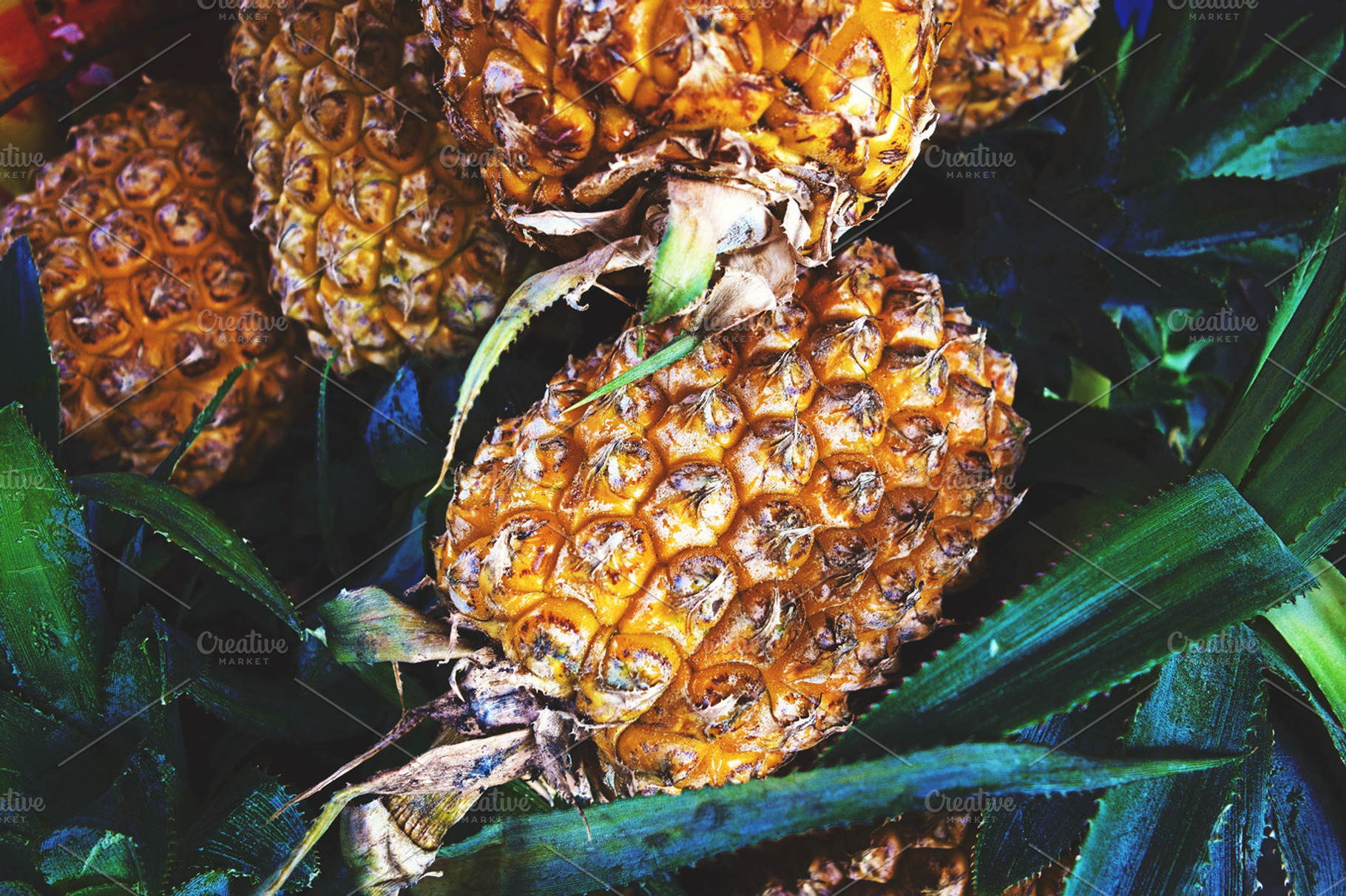 Pineapples featuring bunch, pineapples, and group