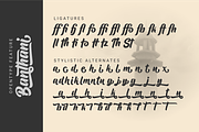 Bantani – Dynamic Bold Script Font, a Script Font by NURF Designs (Thumbnail 5 of 10)