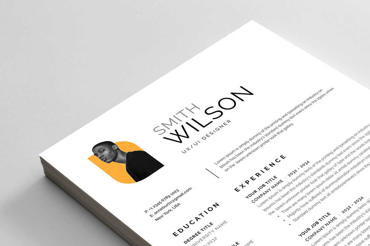 Resume/CV preview 5