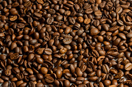 Coffee Beans Texture preview 4