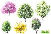 Watercolor  Trees and Bushes, a Decorative Illustration by Valentyna Smordova (Thumbnail 2 of 6)