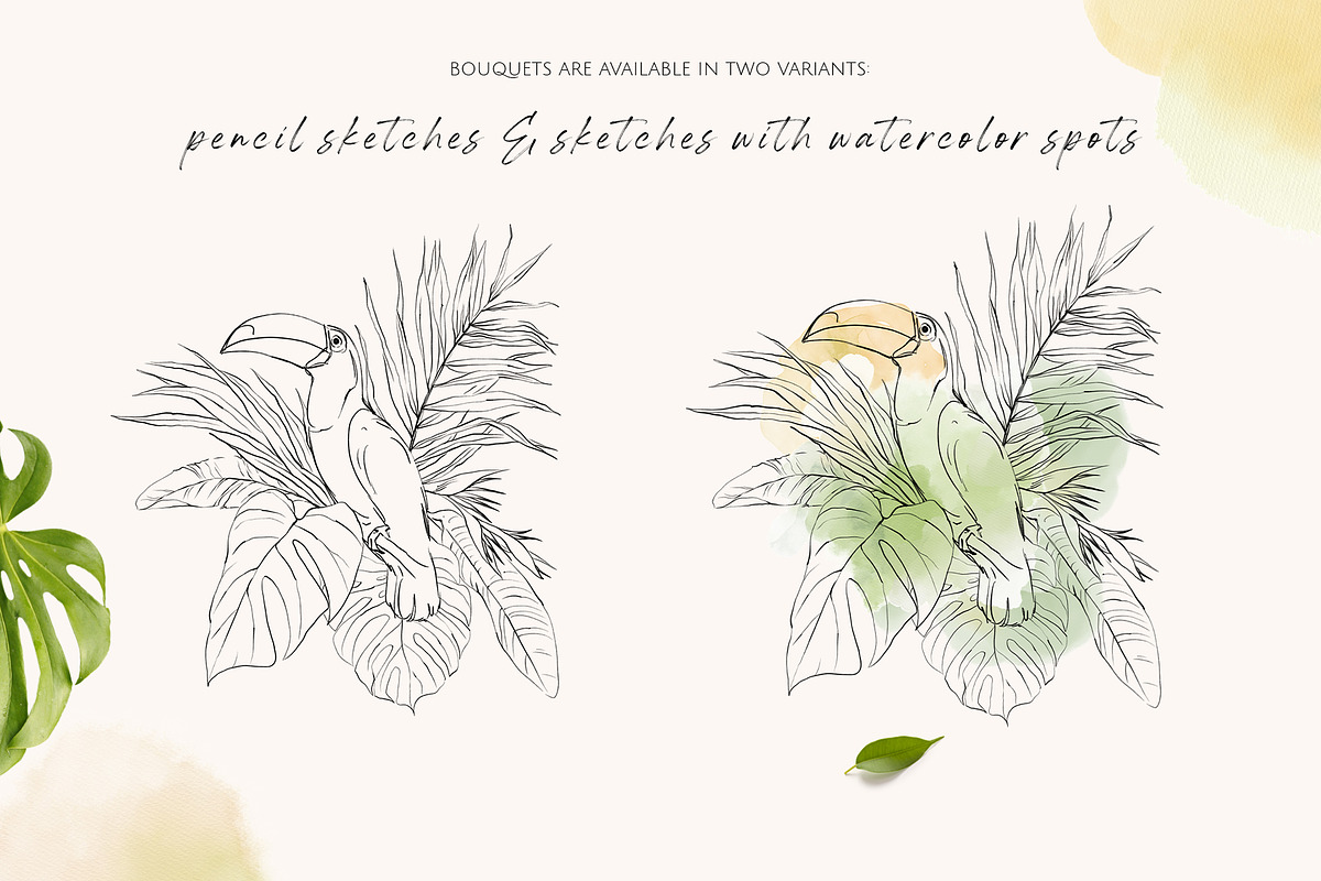 TROPICAL PARADISE birds and plants, a Decorative Illustration by Yuliia Lashevska (Photo 4 of 14)