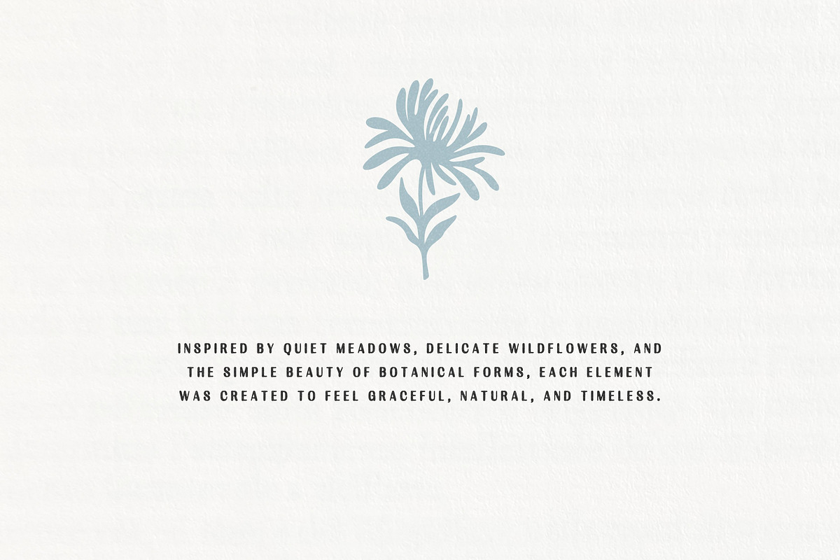 Wildflower Mood: 100 Floral Elements, an Object Illustration by Veyla (Photo 2 of 13)