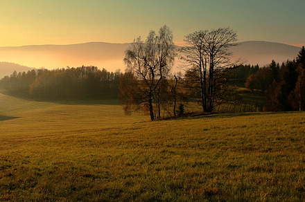 evening landscape