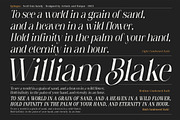 Epilogus - Serif font family, a Serif Font by Artistic & Unique (Thumbnail 14 of 15)