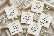 Betris & Daniel | Wedding Font, a Script Font by Ef Studio (Thumbnail 15 of 19)