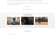 Blogger Template Responsive -Destiny, a Templates & Theme by ThemeShine (Thumbnail 5 of 6)