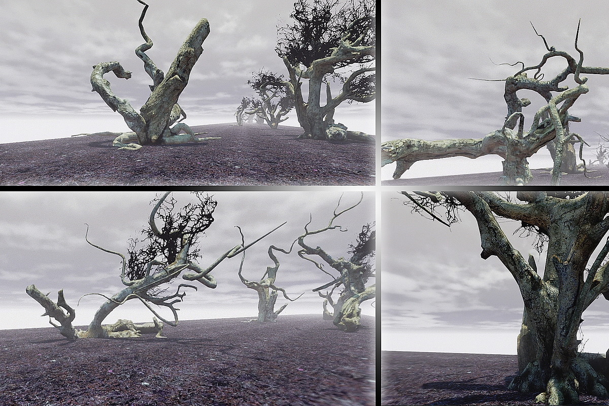 Witchwood, an Environmental 3D Model by MotuProprio (Photo 5 of 7)