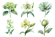 Watercolor Sage Floral Clipart, an Illustration by Daily.Designs (Thumbnail 4 of 5)