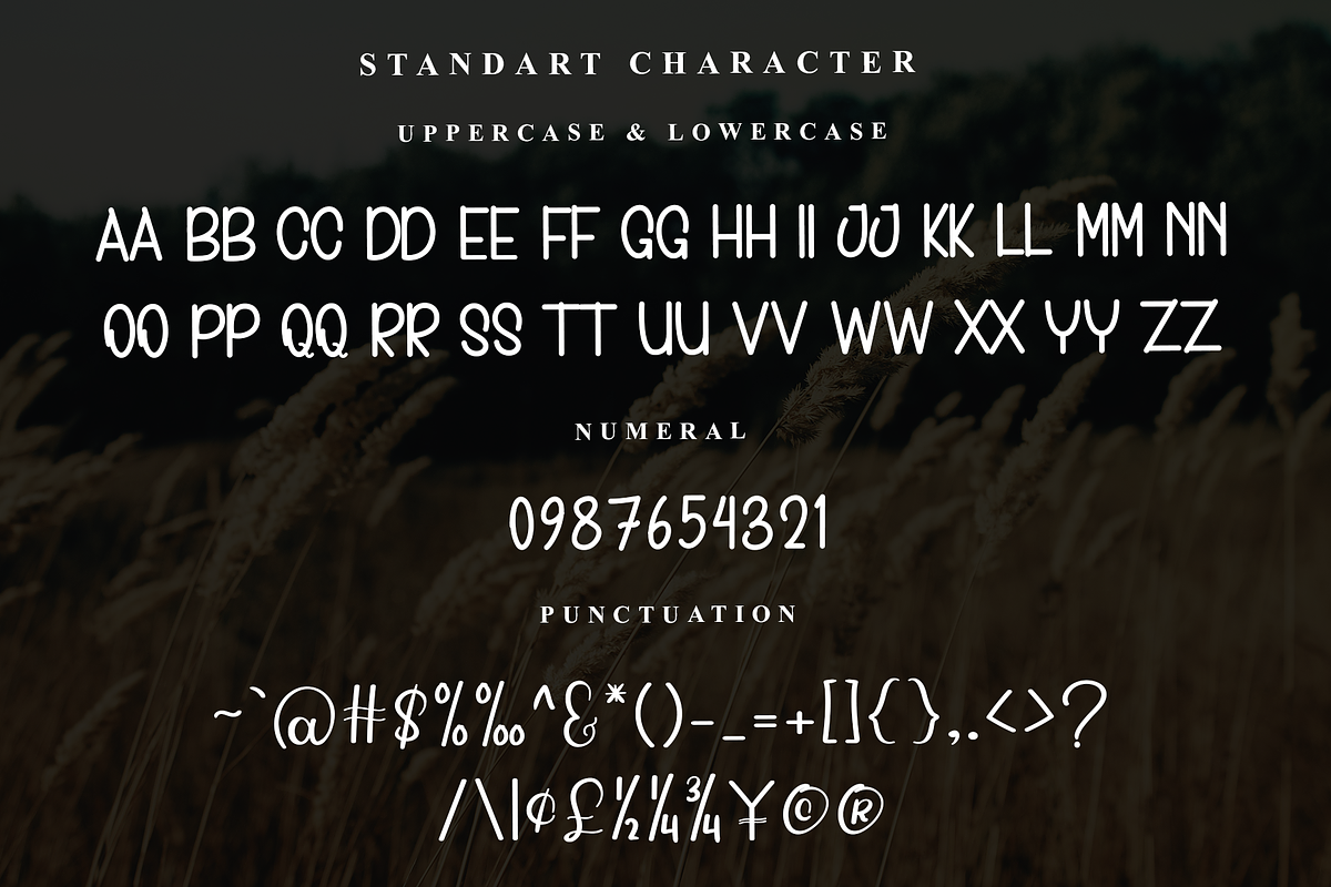 Disney, a Sans Serif Font by InermediaSTUDIO (Photo 4 of 7)