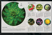 Real Estate Multipurpose Brochure, a Brochure Template by GrafxFun (Thumbnail 32 of 39)