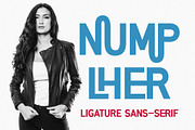 Numplher Ligature Sans-Serif, a Sans Serif Font by Font Kingdom (Thumbnail 1 of 6)