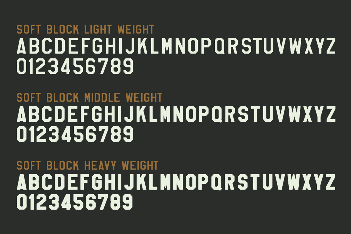 Whiskey Logo Bundle + Fonts, a Branding & Logo Template by Millieangelo (Photo 5 of 5)