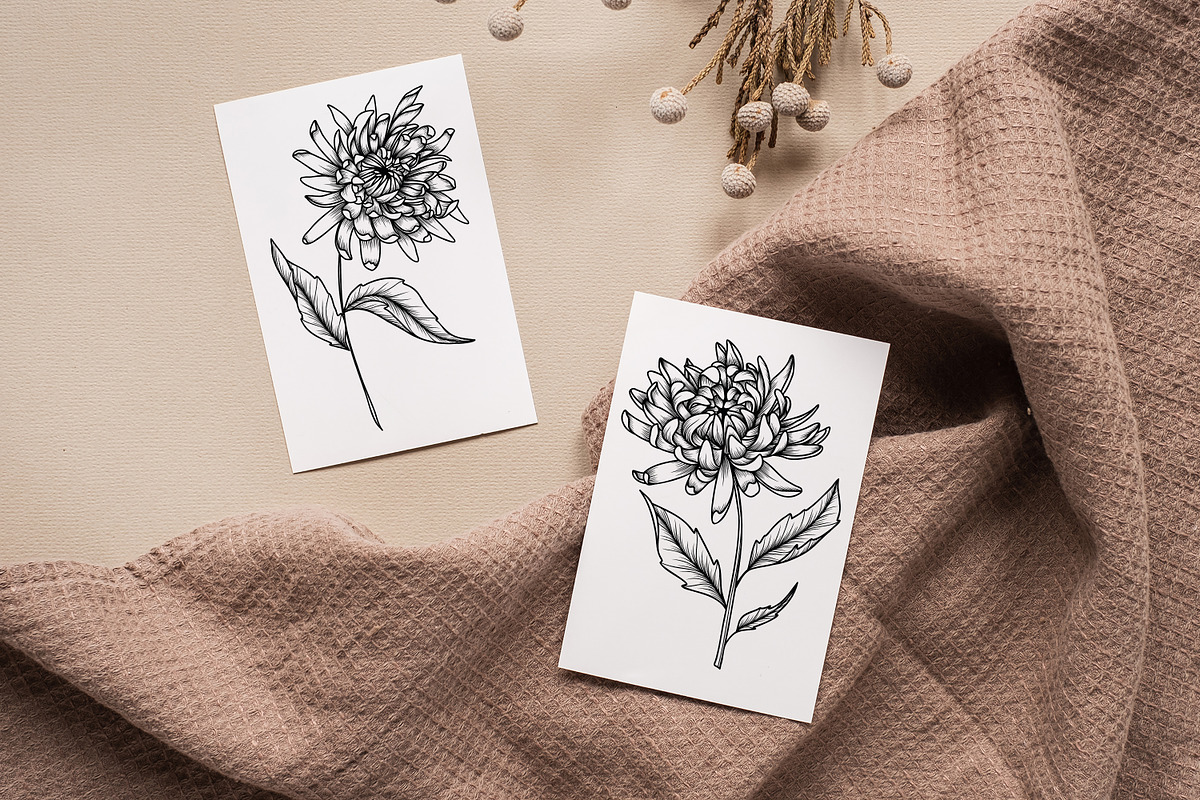 Aster Line Art SVG, an Object Graphic by Dervik Art Store (Photo 2 of 7)