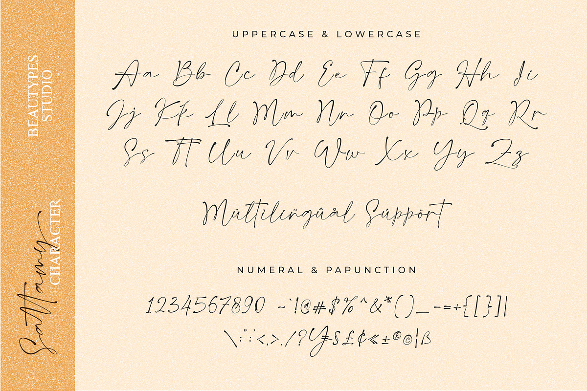 Sattamy Signature | handwritten font, a Script Font by Beautypes (Photo 7 of 8)