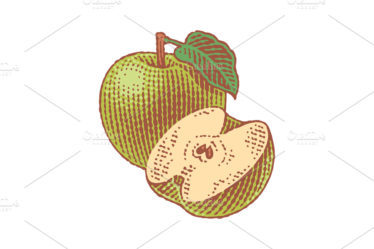 Green apple and apple tree leaf, a Food Illustration by Irina Trusova (Photo 2 of 3)