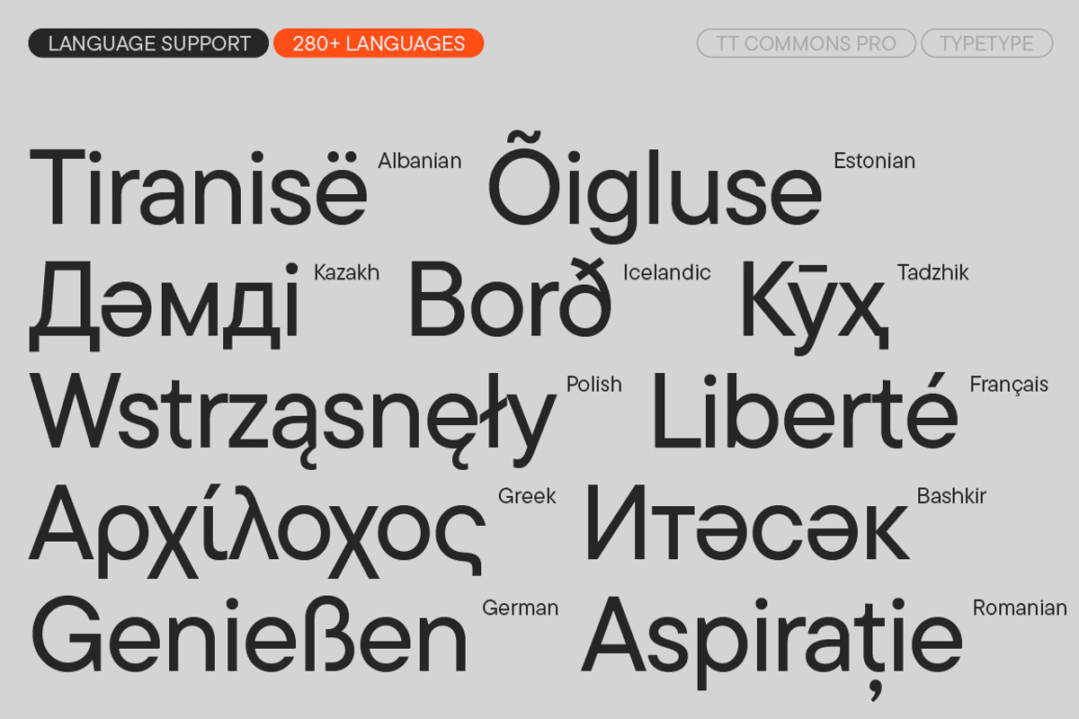 TT Commons Pro Basic, a Sans Serif Font by TypeType (Photo 7 of 15)