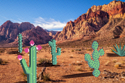NEVADA. Scene & Posters Bundle, an Animal Illustration by Schumacher Shop (Thumbnail 6 of 11)