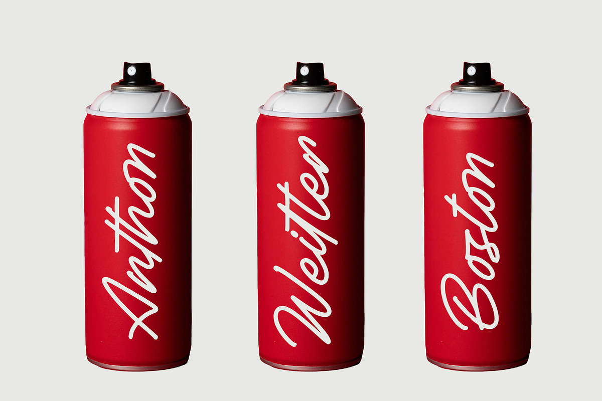 Betany Salena Monoline Brush Font, a Script Font by Letterena Studios Script (Photo 11 of 15)