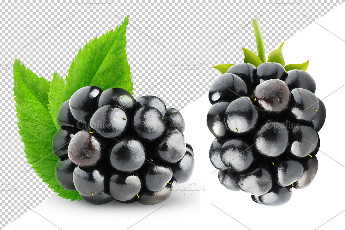 Blackberries with stems preview 4