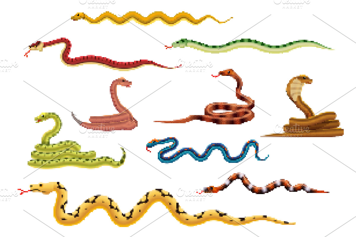 8bit arcade game pixel art snakes, an Animal Illustration by Vector Tradition