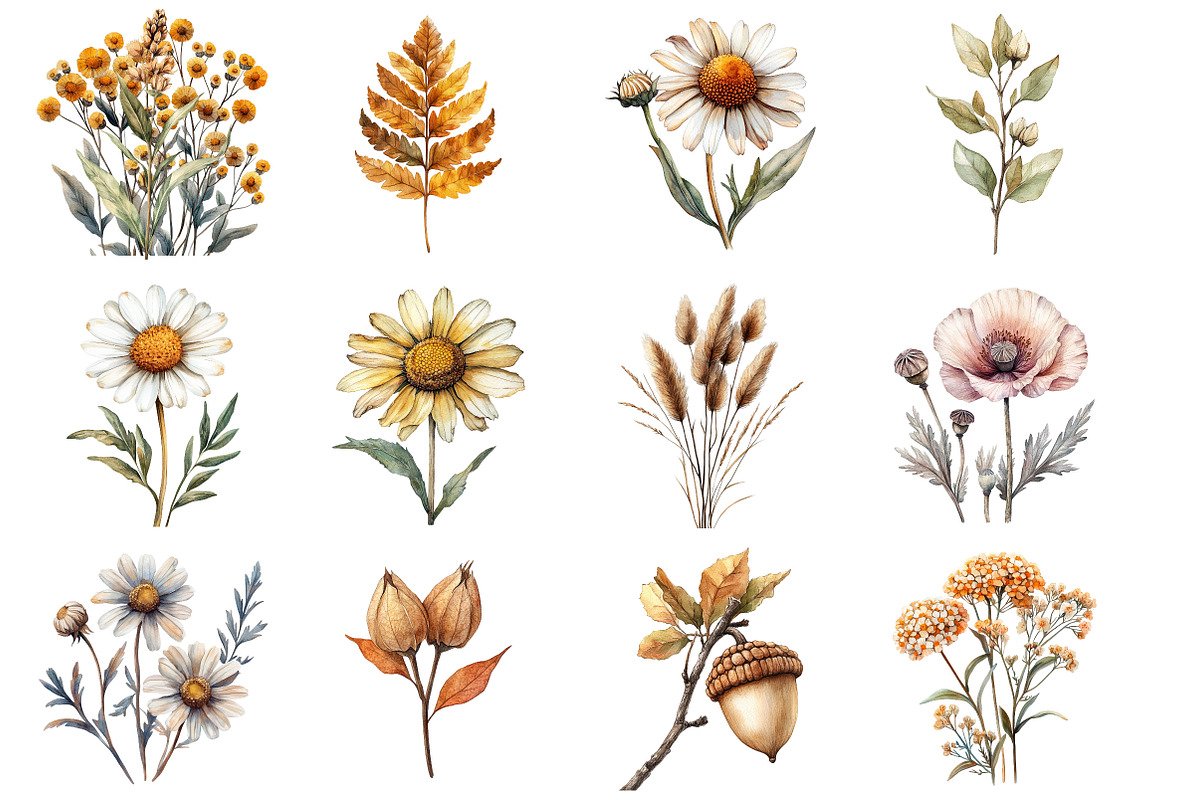 Watercolor Wildflowers Clipart, an Illustration by SinaCreation (Photo 3 of 5)