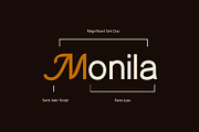 Monila Verila – Elegant Display Font, a Script Font by WhymoreArt (Thumbnail 10 of 13)
