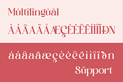 Gareso - Expressive Modern Serif, a Serif Font by Qweera Studio (Thumbnail 11 of 12)