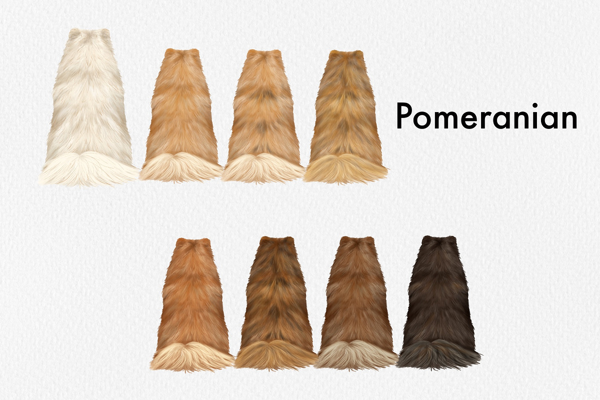 Watercolor Small Dog Breeds, an Animal Illustration by ColorfulPT (Photo 3 of 8)